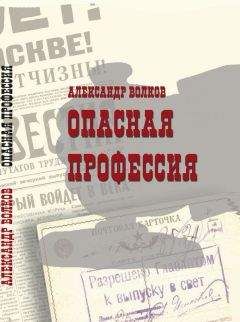 Александр Волков - Опасная профессия