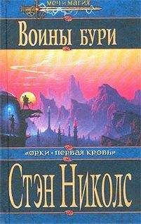 Стэн Николс - Воины Бури