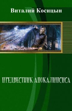 Виталий Косицын - Предвестник апокалипсиса (СИ)
