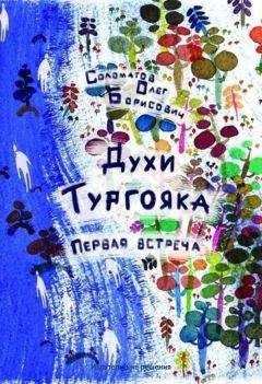 Олег Соломатов - Духи Тургояка. Первая встреча