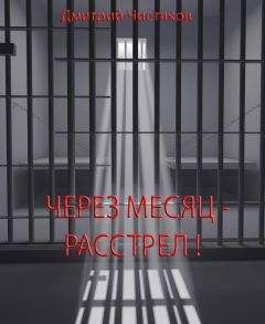 Дмитрий Чистяков - Через месяц - расстрел