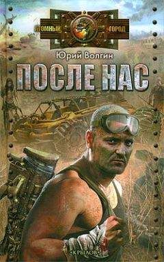 Юрий Волгин - После нас