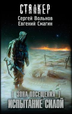 Евгений Смагин - Зона Посещения. Испытание силой